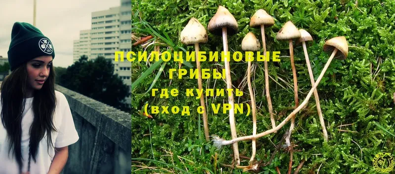 Галлюциногенные грибы Magic Shrooms Балахна